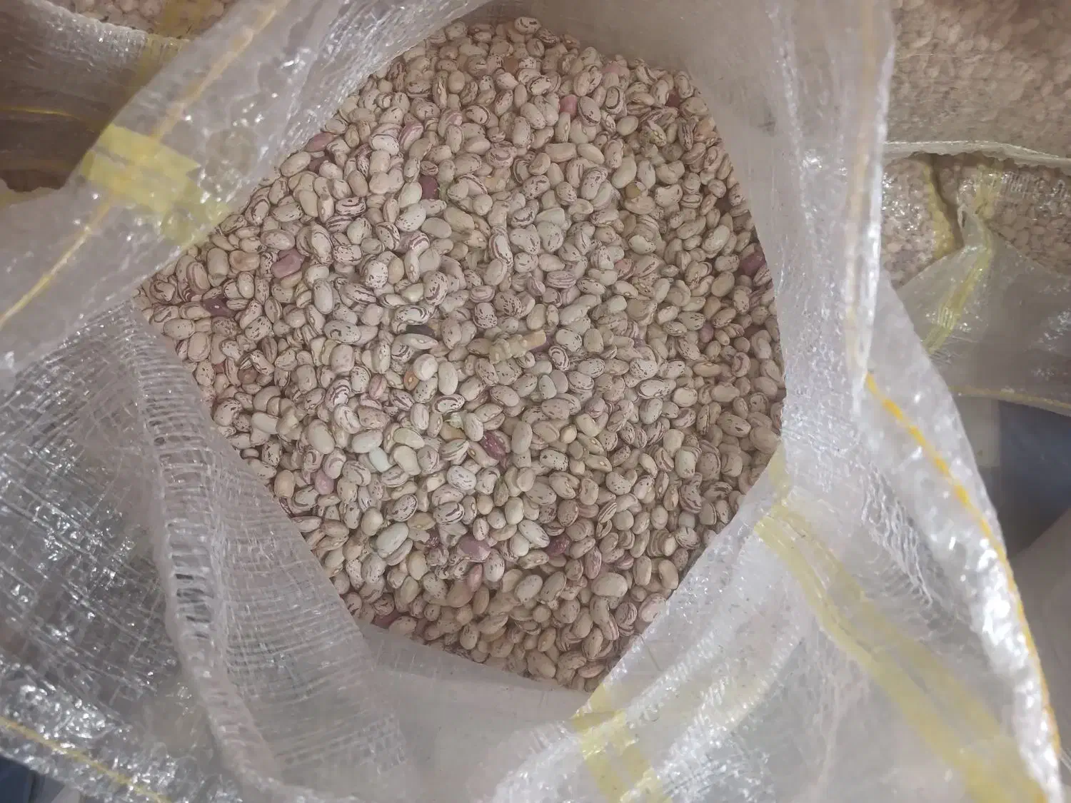 لوبیا چیتی|عمدهفروشی|اسدآباد, |دیوار