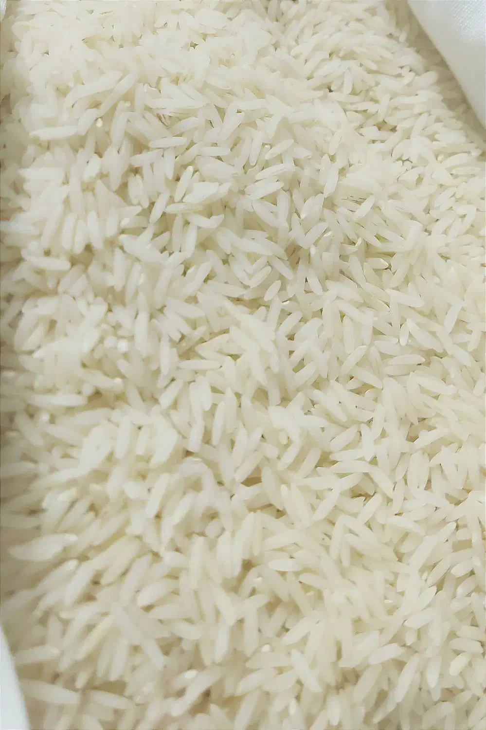 خالص و اعلاء درجه 1|خوردنی و آشامیدنی|قم, شهید صیاد شیرازی|دیوار