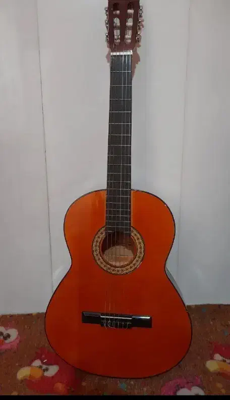 گیتار|گیتار، بیس، امپلیفایر|مشهد, کشف|دیوار