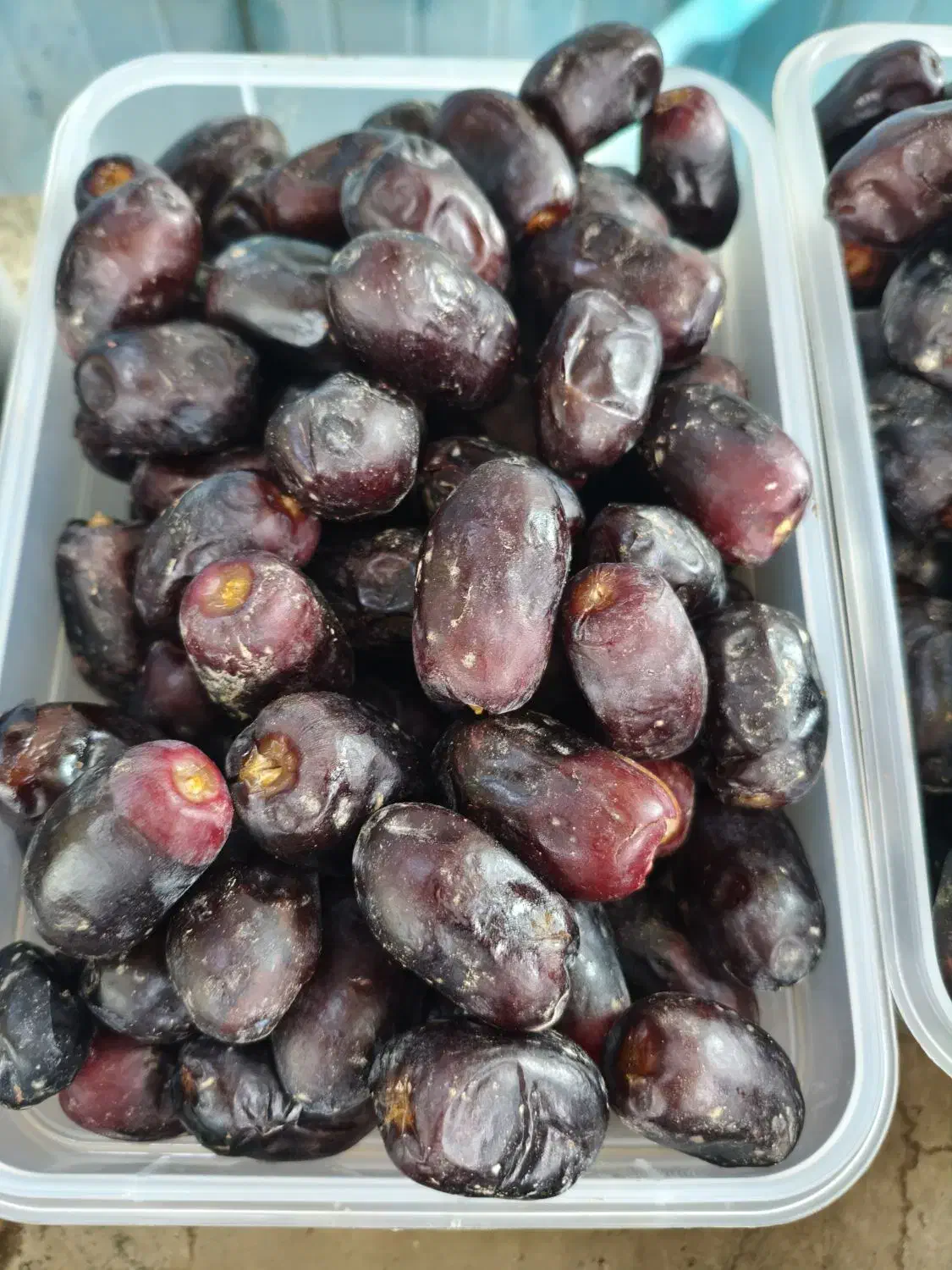 رطب مضافتی|خوردنی و آشامیدنی|شیراز, شاه قلی بیگی|دیوار