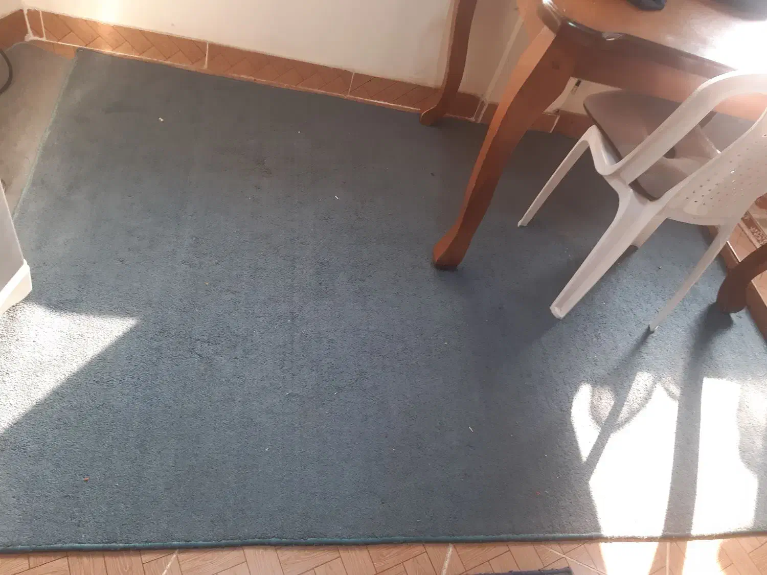 فرش فانتزی|فرش|رشت, سعدی (تختی)|دیوار