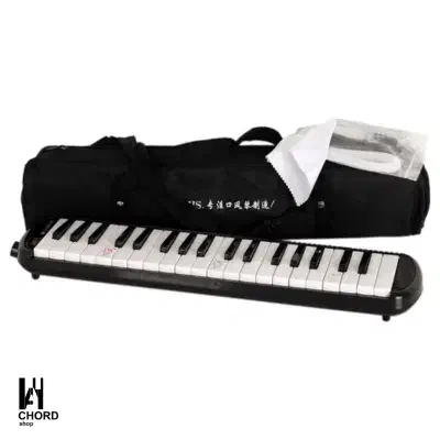 ملودیکا DHS|سازهای بادی|کرج, کرج نو|دیوار