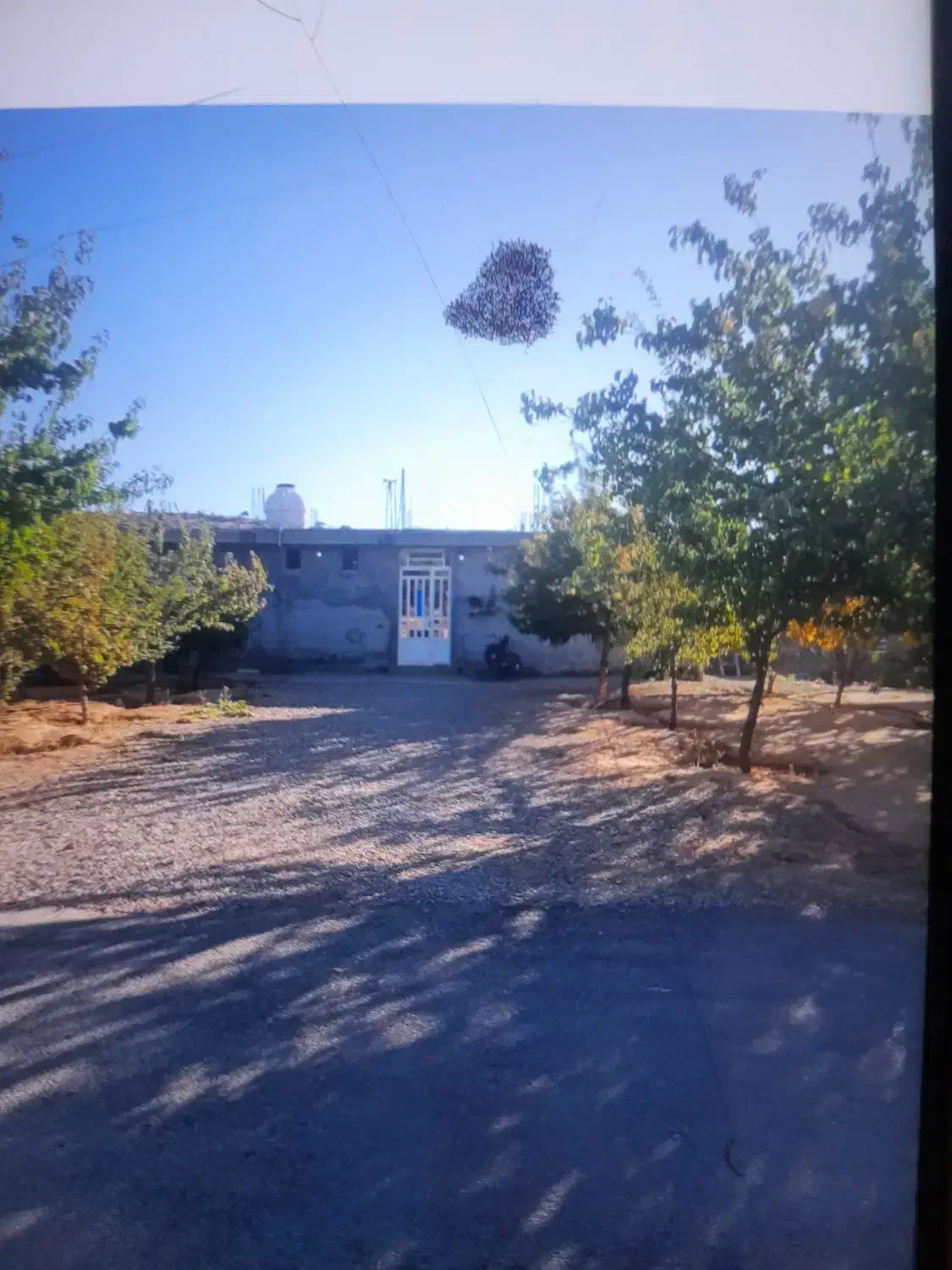 خانه  نوساز ویلایی در روستای دارشاهی|فروش خانه و ویلا|سیسخت, |دیوار