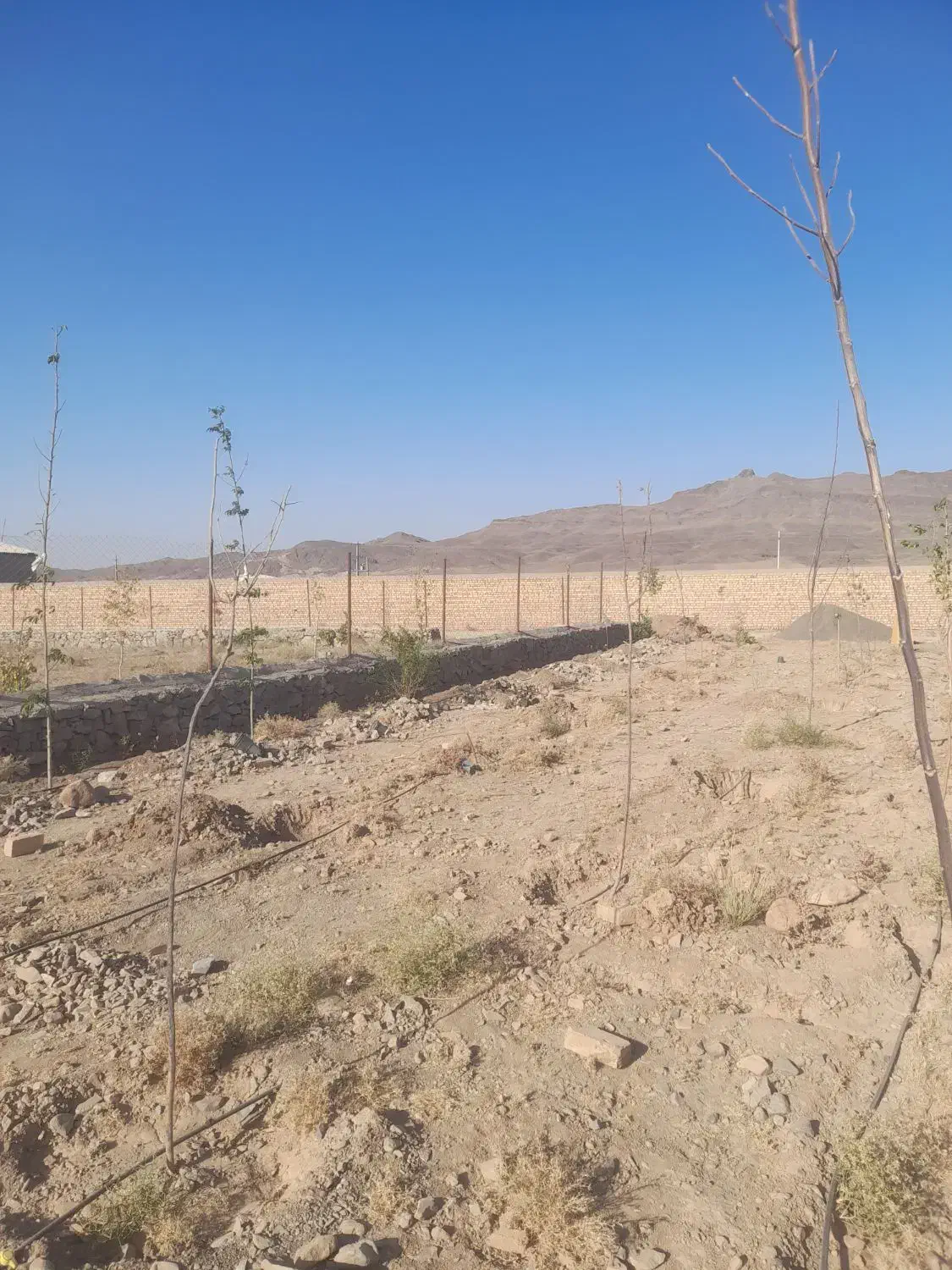 زمین واقع در کهک روستای میم|فروش زمین و ملک کلنگی|قم, الوندیه و گذر صادق|دیوار