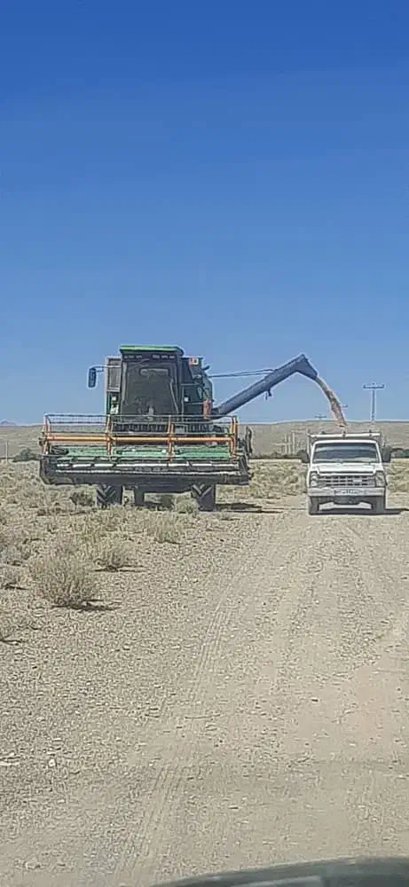 کمباین موتور فرانسوی سوپردار|خودرو سنگین|مرودشت, بیست متری بیمارستان|دیوار