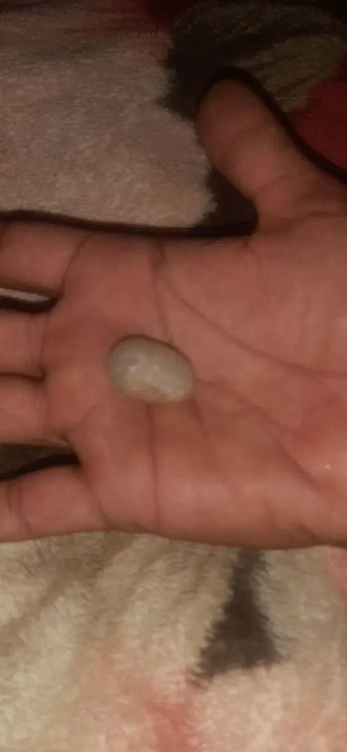 سنگ فروشی|کلکسیون اشیاء عتیقه|علیآباد کتول, |دیوار