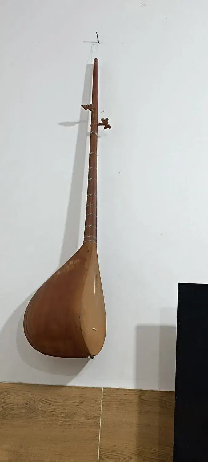 دوتار تربت جام|سازهای سنتی|مشهد, توس فردوسی|دیوار