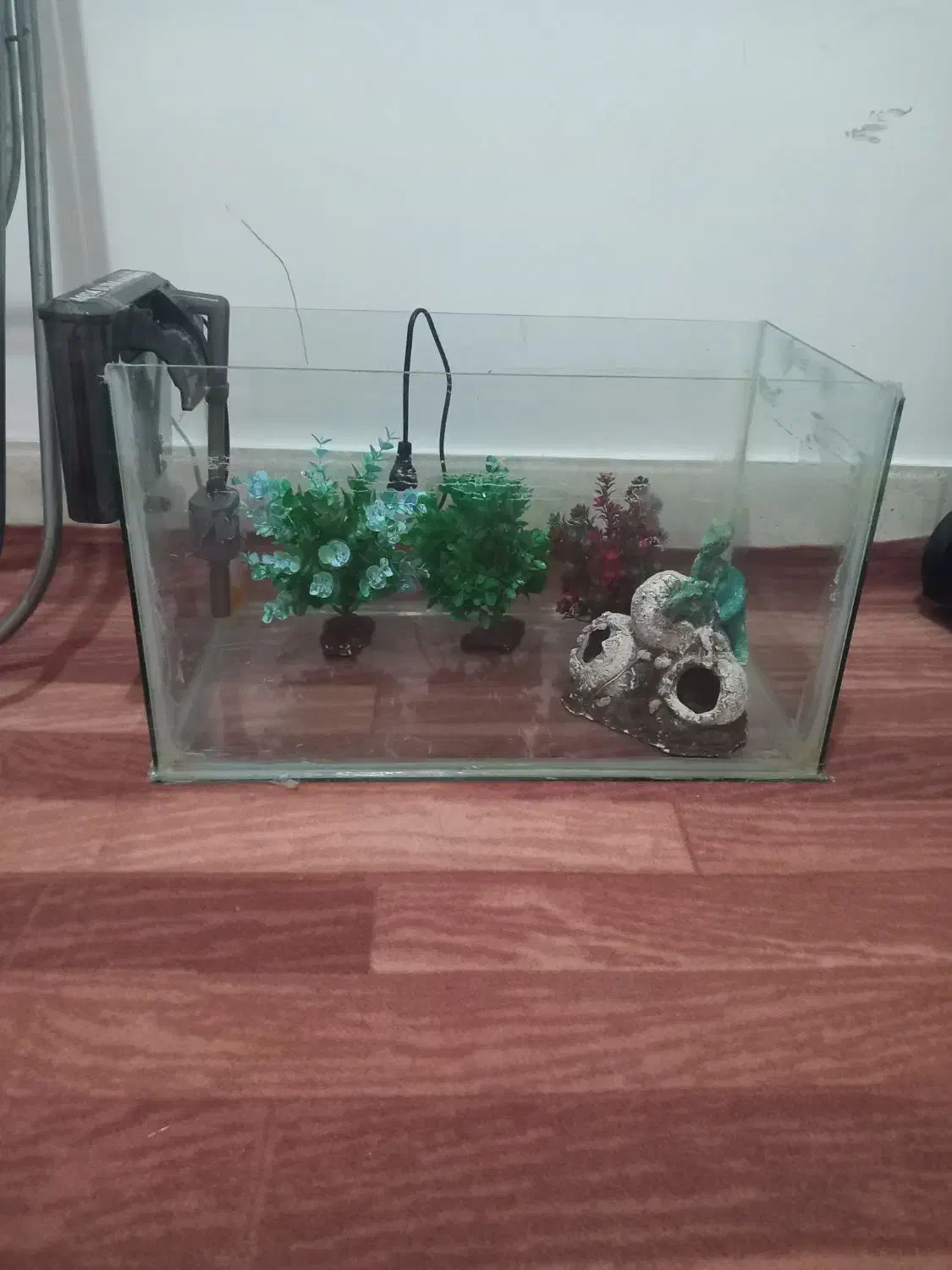 آکواریوم و تمام وسایل درون آکواریوم|ماهی|پیرانشهر, |دیوار