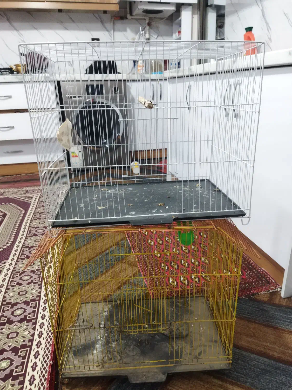 قفس پرنده|لوازم جانبی حیوانات|مشهد, بهارستان|دیوار