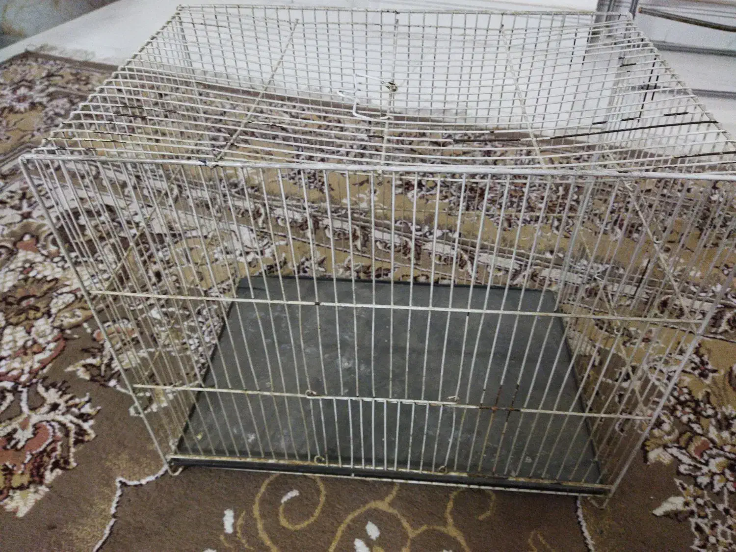 قفس پرنده|لوازم جانبی حیوانات|مشهد, رسالت|دیوار