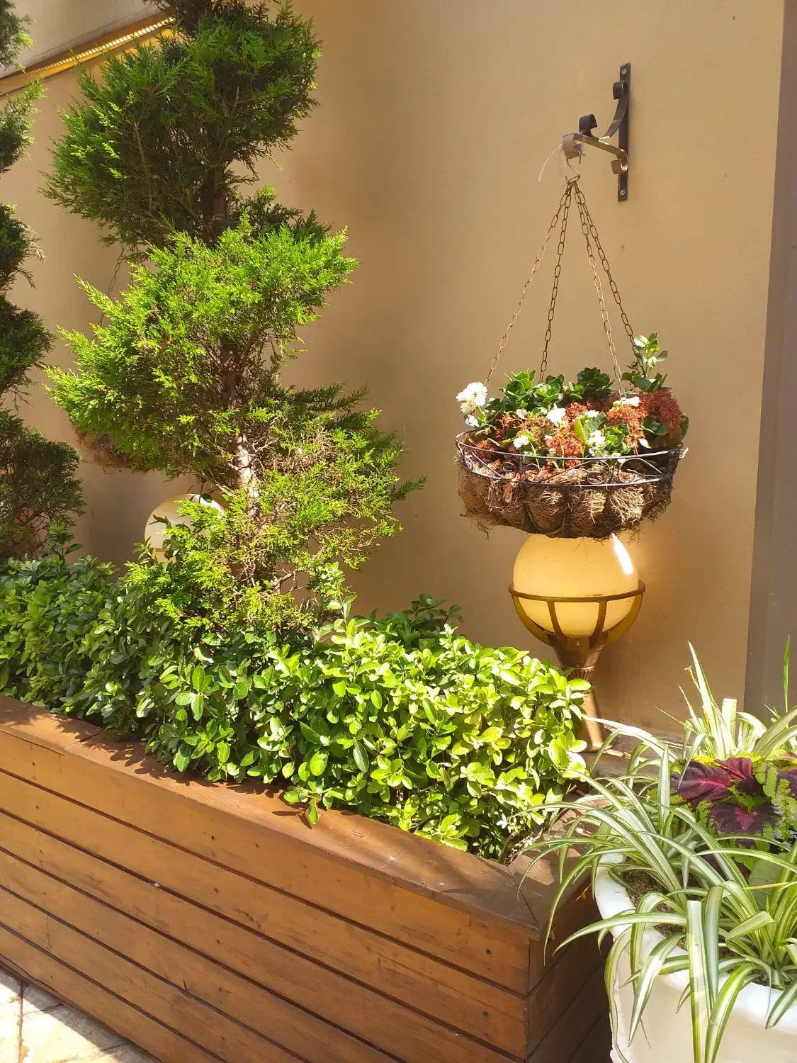 تعدادی مدارک به نام خزایی گم شده.|اشیا|وحیدیه, |دیوار