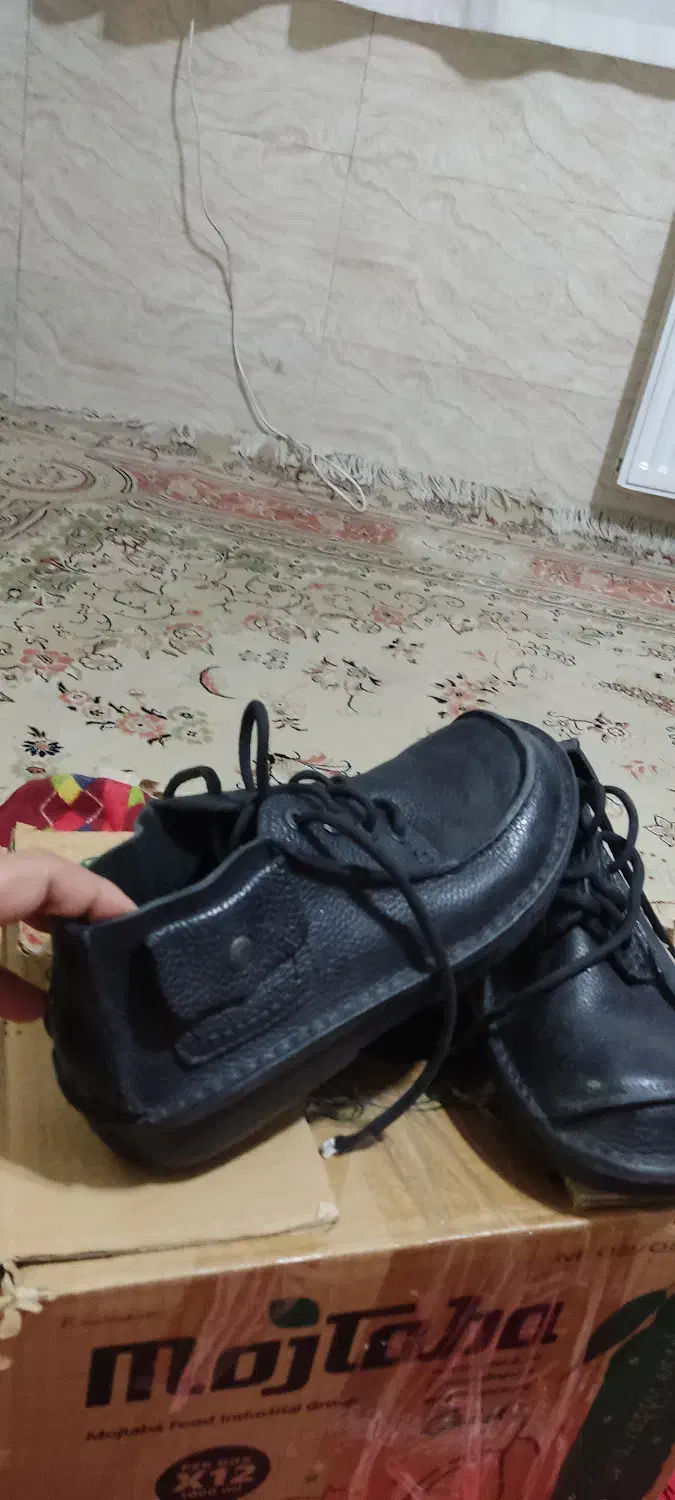 وسایل شخصی|کیف، کفش، کمربند|اصفهان, کوی ولی عصر|دیوار