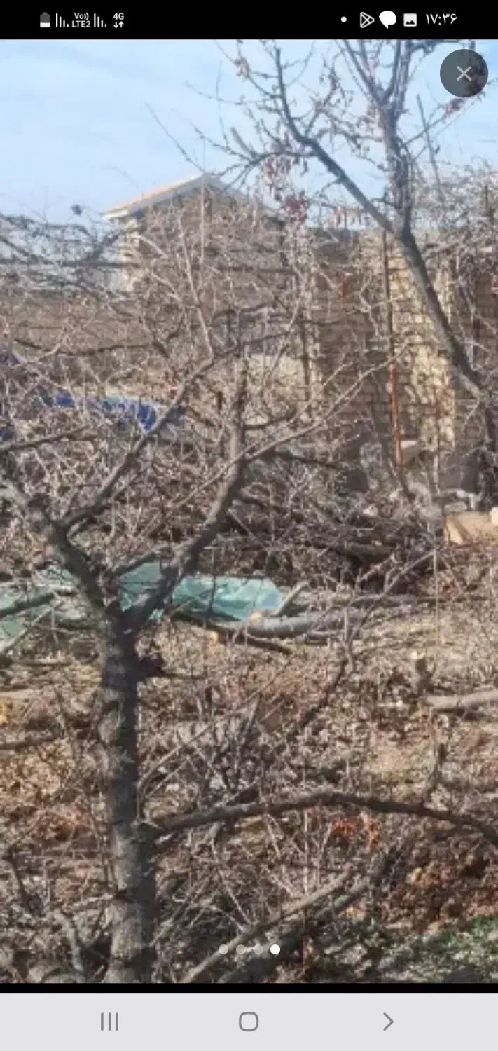 هرس‌کردن‌درخت|خدمات باغبانی و درختکاری|نیشابور, بنیاد شهید|دیوار