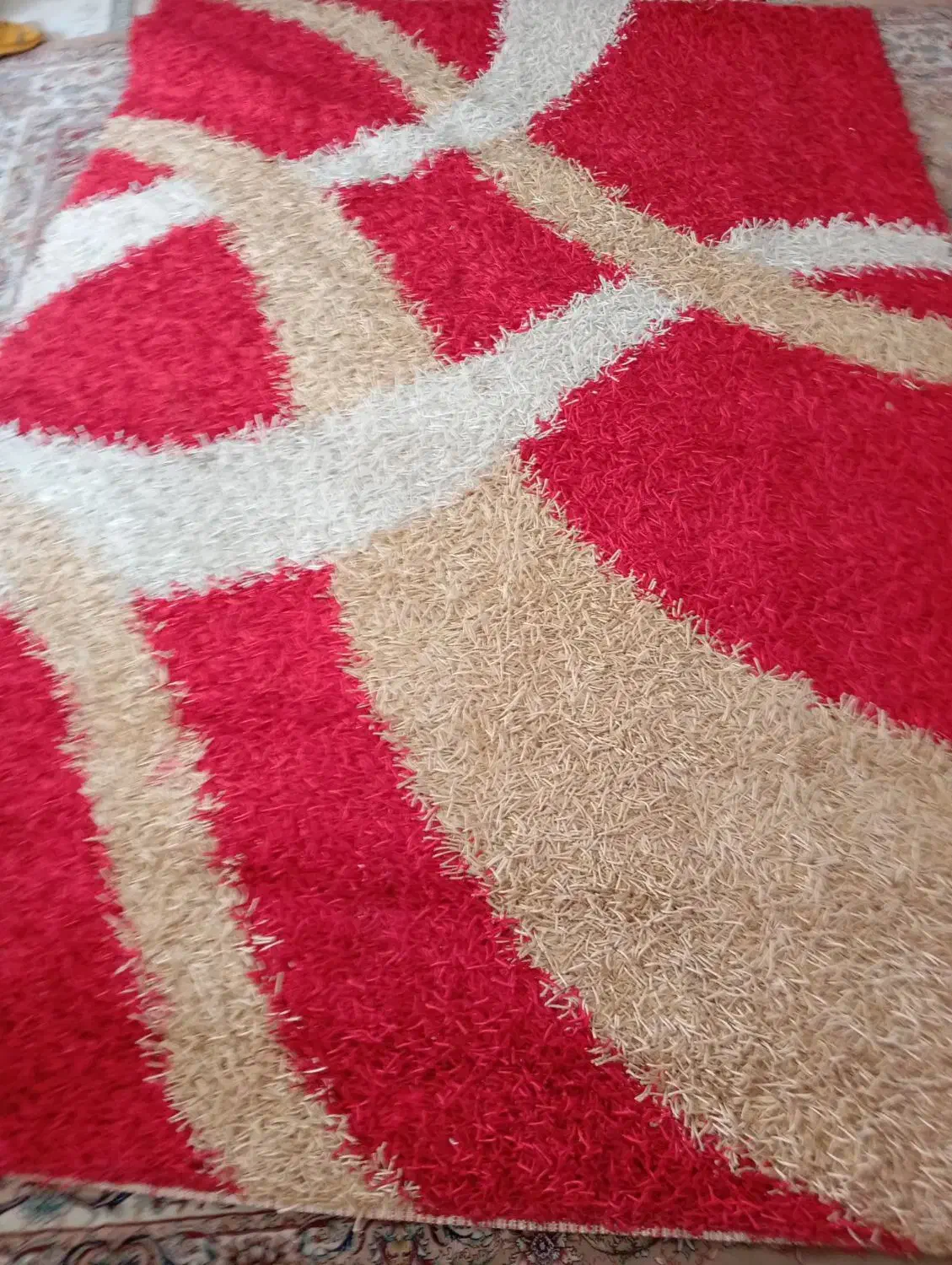 فرش شگی|فرش|مشهد, جاهد شهر|دیوار