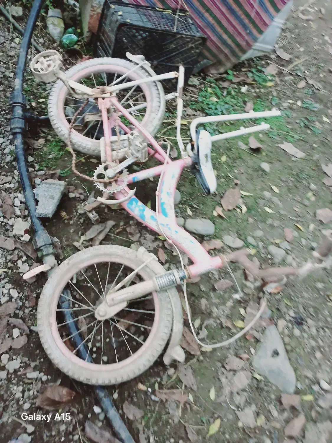 دوچرخه|دوچرخه، اسکیت، اسکوتر|ماسال, |دیوار