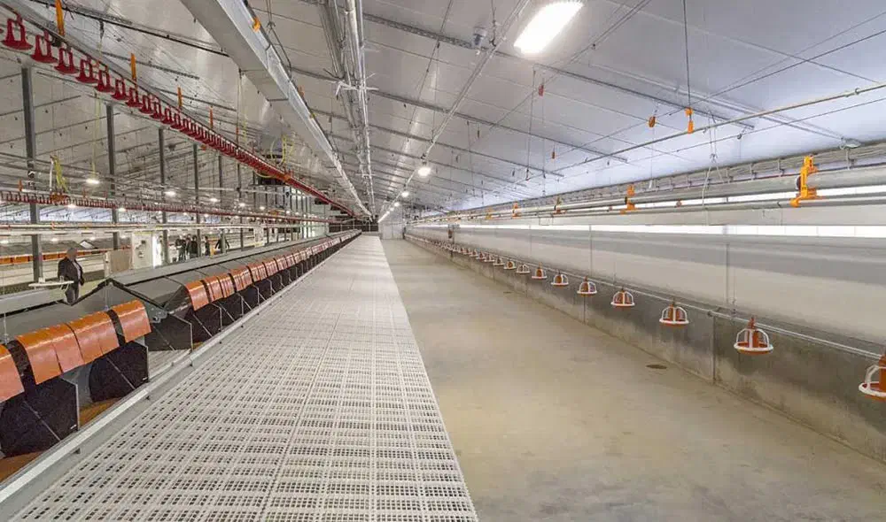 کاردرترکیهاستانبول|استخدام صنعتی، فنی، مهندسی|تهران, نصرت|دیوار