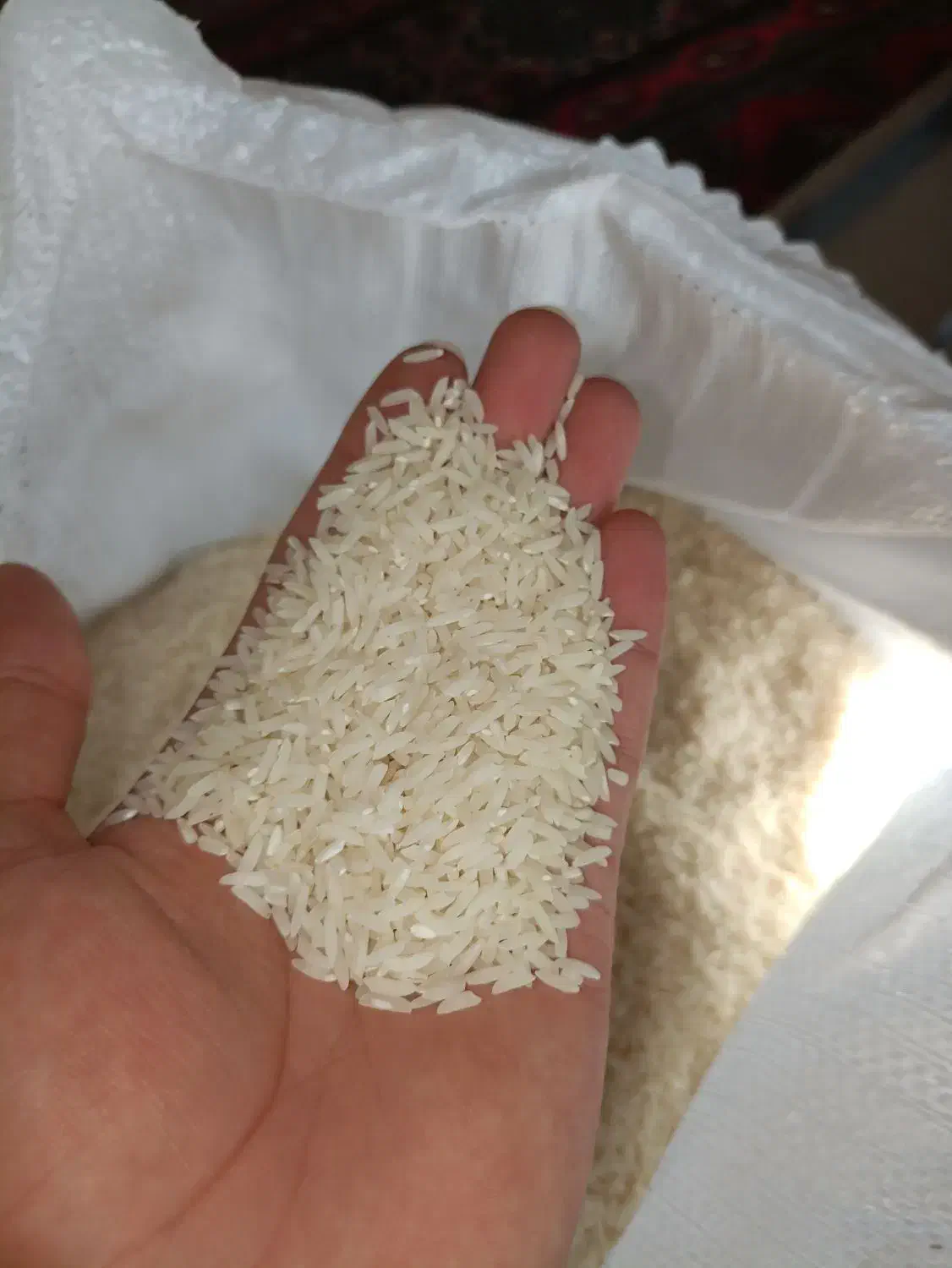 برنج دم سیاه مینودشت|خوردنی و آشامیدنی|مینودشت, |دیوار