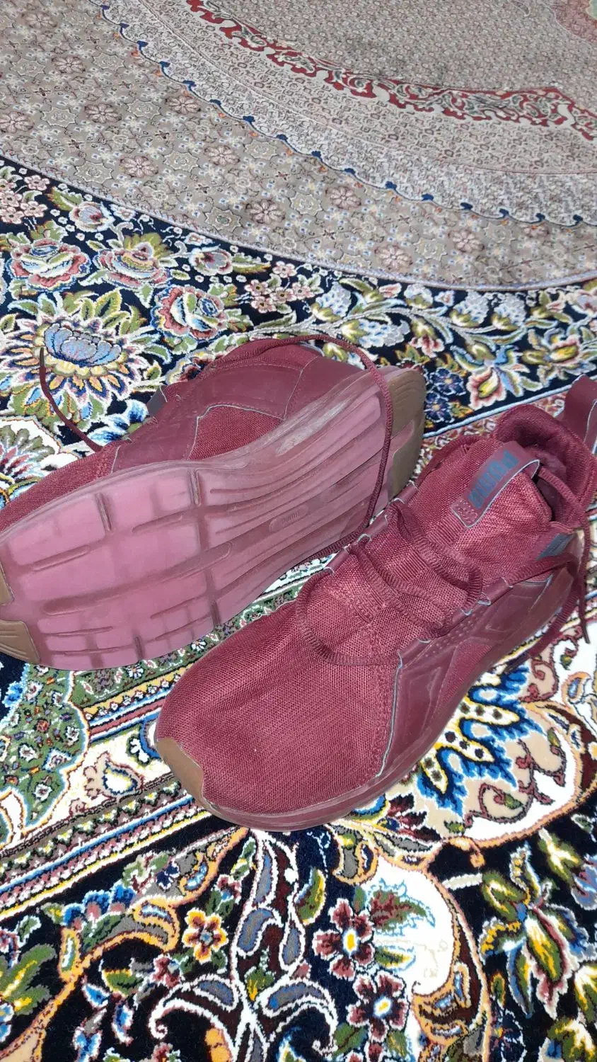 کتونی اورجینال puma|کیف، کفش، کمربند|اردبیل, |دیوار