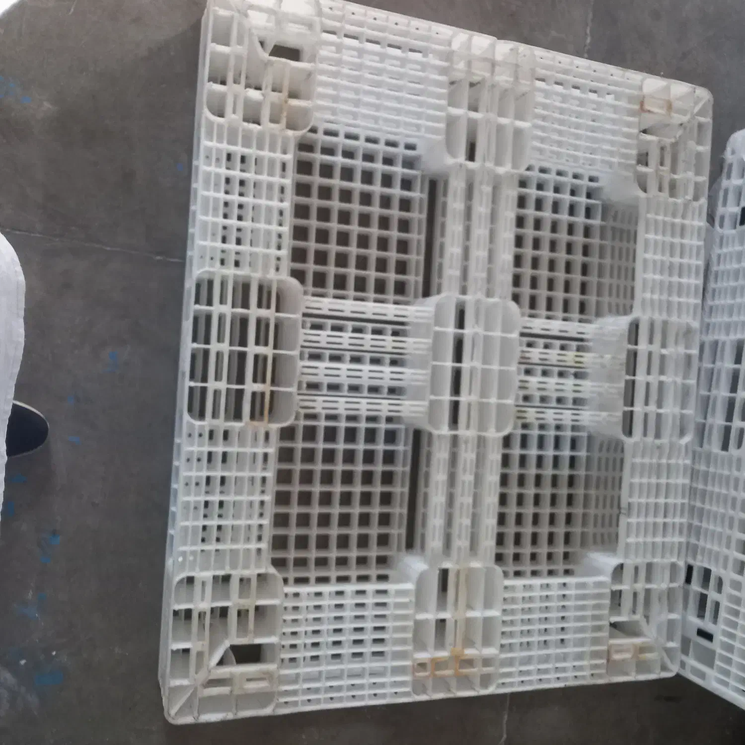 پالت پلاستیکی|فروشگاه و مغازه|سنگر, |دیوار