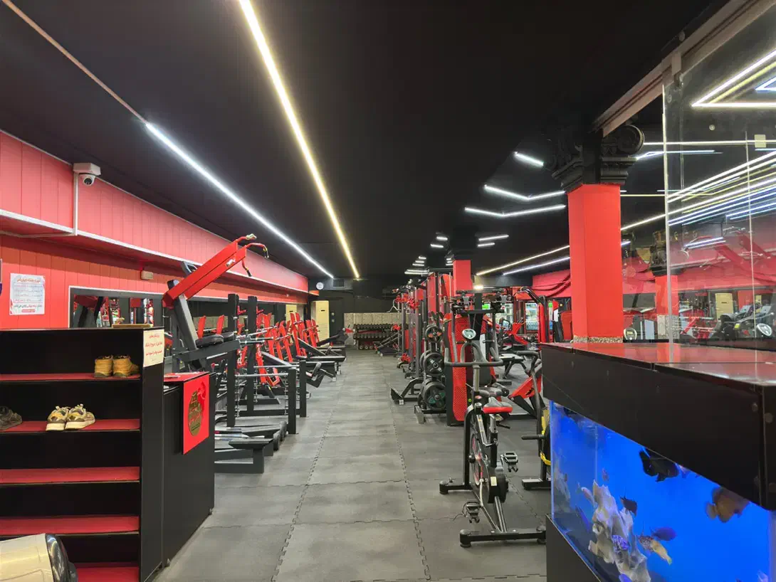 باشگاه بدنسازی آرکوشعبه آقایان باتخفیف ویژه پاییزه|خدمات آموزشی|همدان, |دیوار