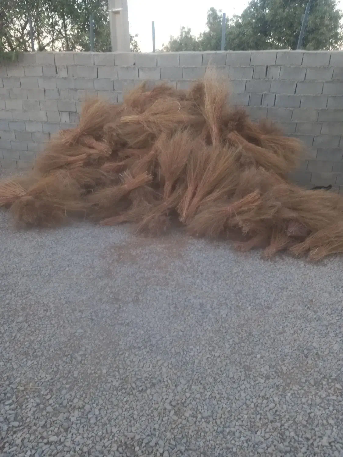 جارو|لوازم نظافت|کوزران, |دیوار