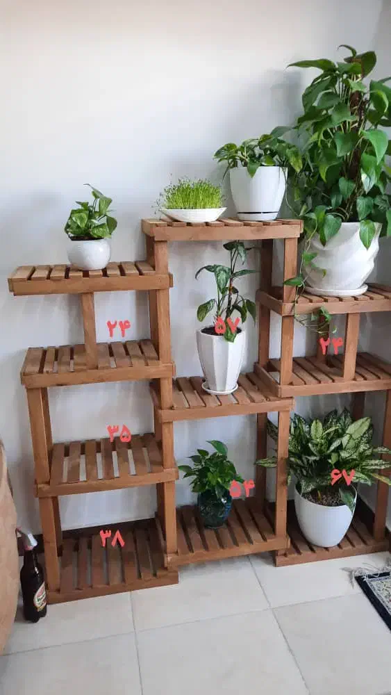 استند گل و گیاه|گل و گیاه طبیعی|امیدیه, |دیوار