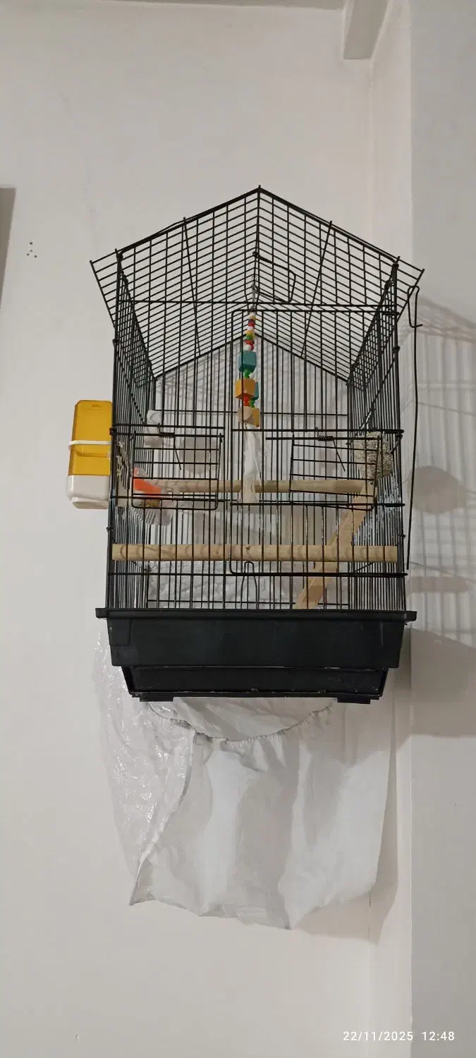 قفس با تمام وسایلش|لوازم جانبی حیوانات|سبزوار, فیاض|دیوار