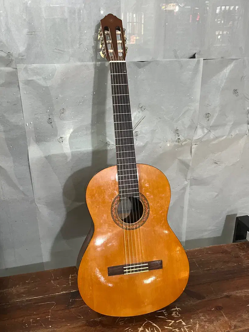 گیتار c40|گیتار، بیس، امپلیفایر|رفسنجان, |دیوار