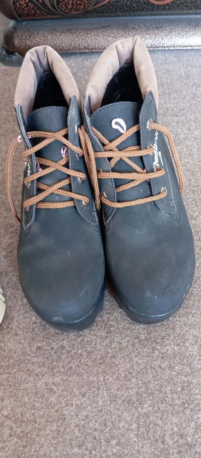 کفش|کیف، کفش، کمربند|بیرجند, |دیوار