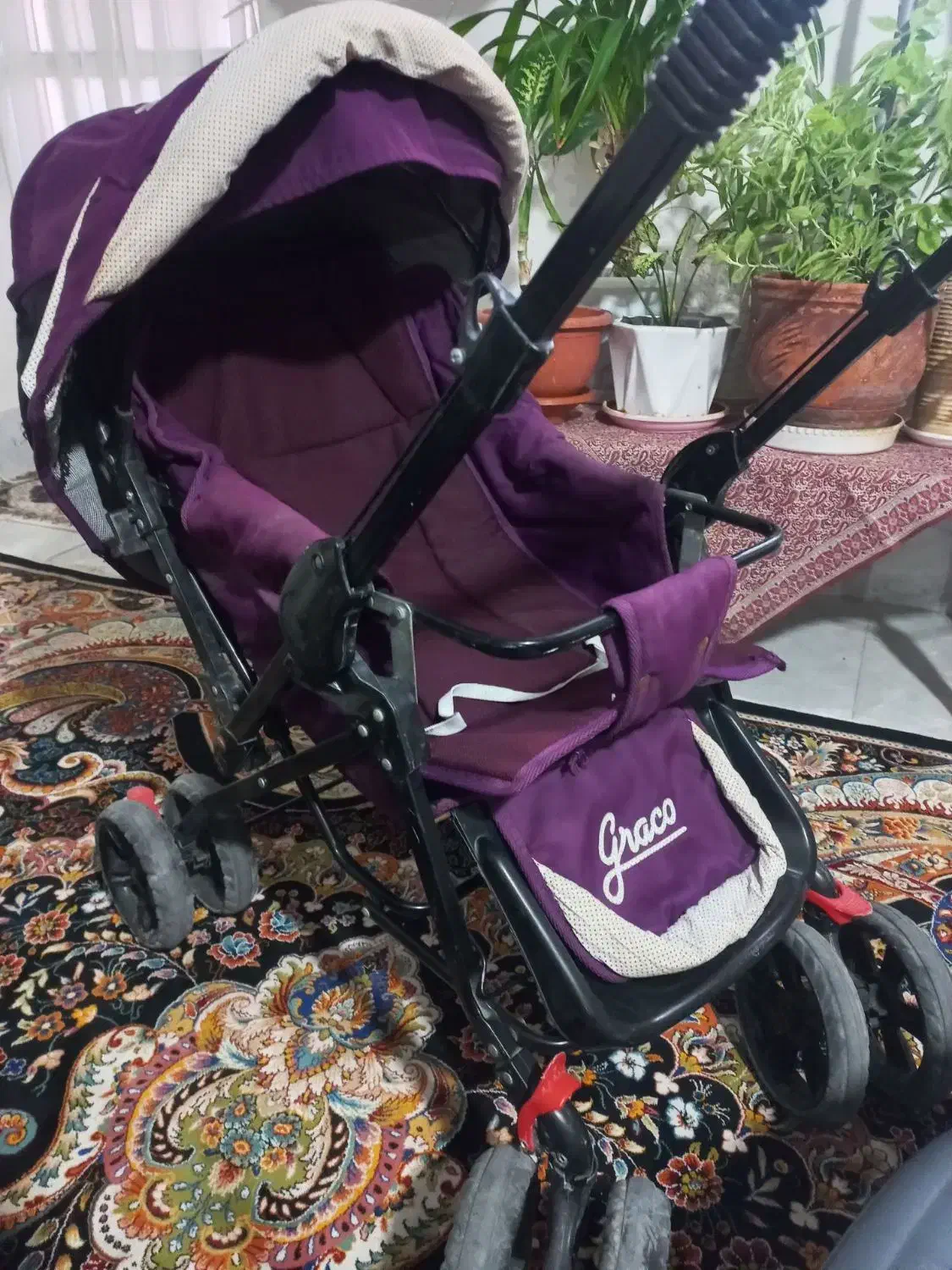 کالسکه، روروئک|کالسکه و لوازم جانبی|پیشوا, |دیوار