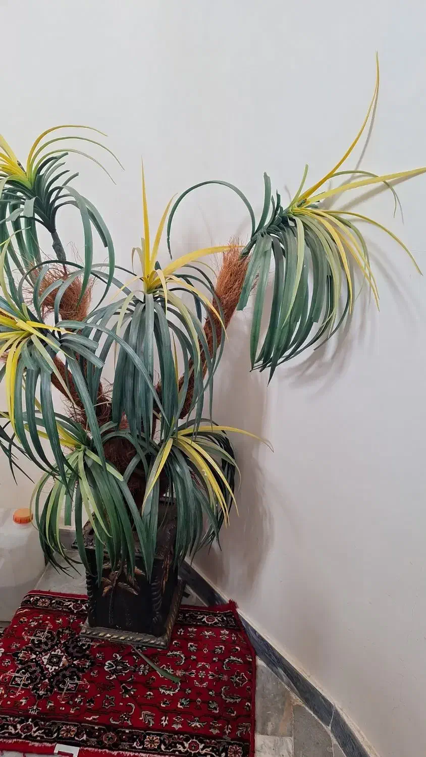 گل تزیینی درخت نخل|گل مصنوعی|تبریز, |دیوار