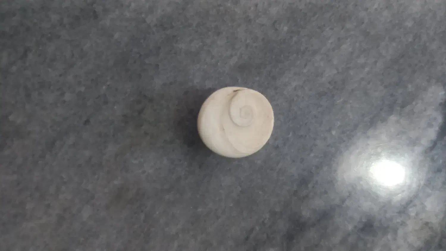 مهره|کلکسیون اشیاء عتیقه|پارس‌آباد, |دیوار