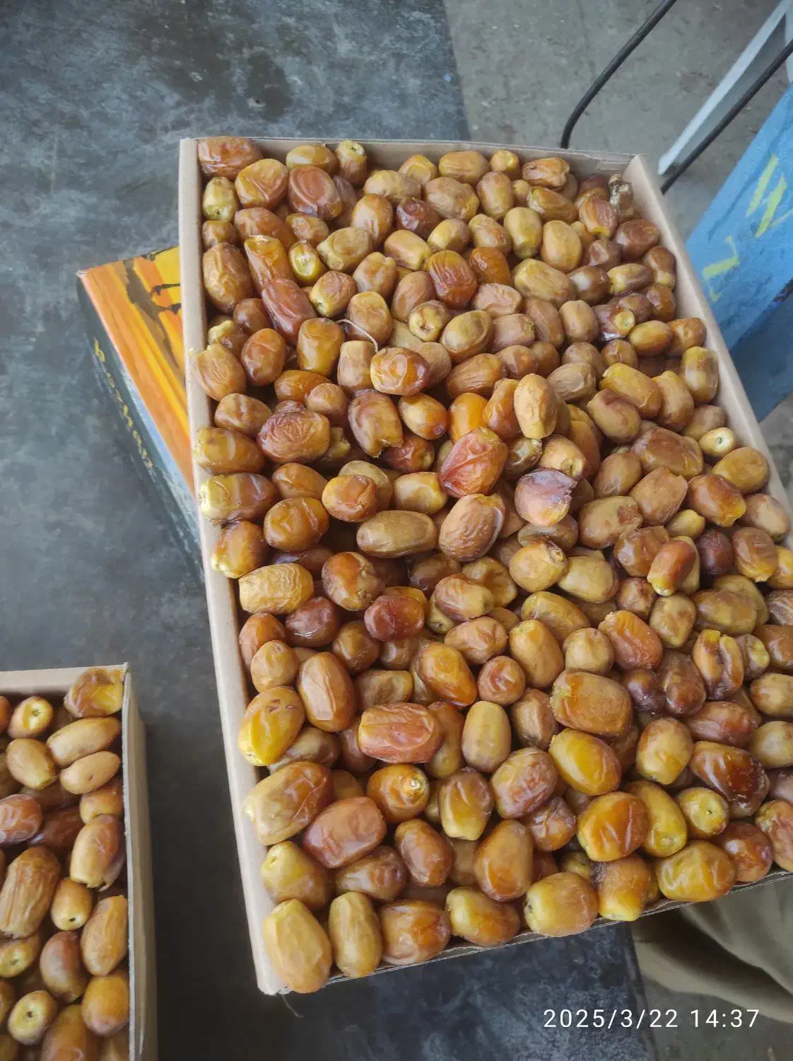 قصب خشک|خوردنی و آشامیدنی|بوشکان, |دیوار