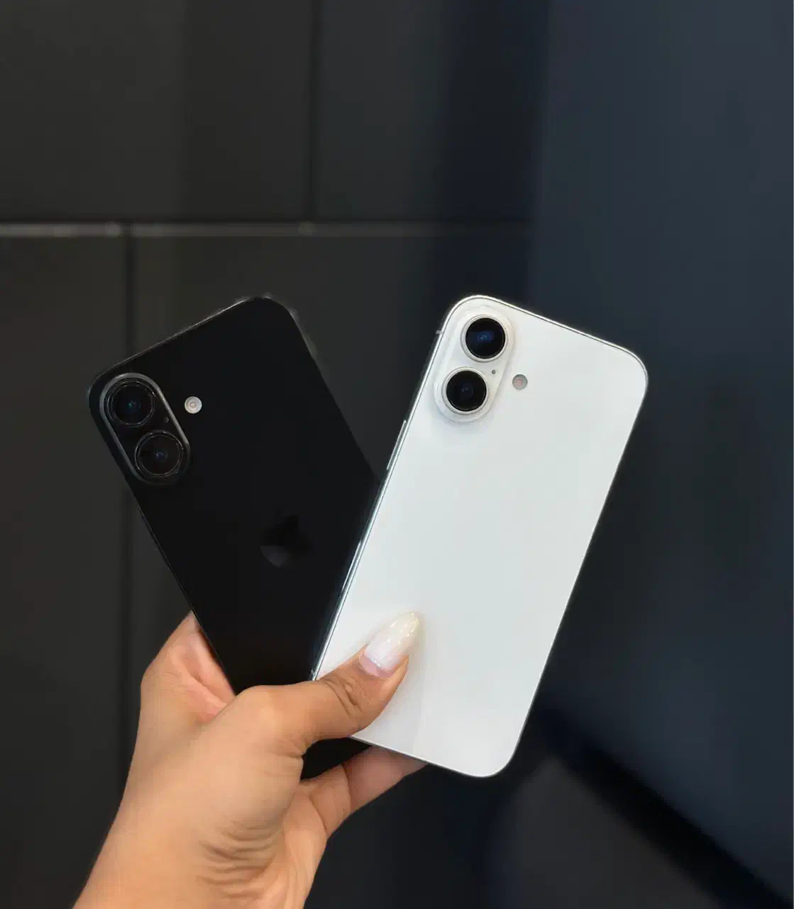 iPhone 16 normal|موبایل|مشهد, احمدآباد|دیوار