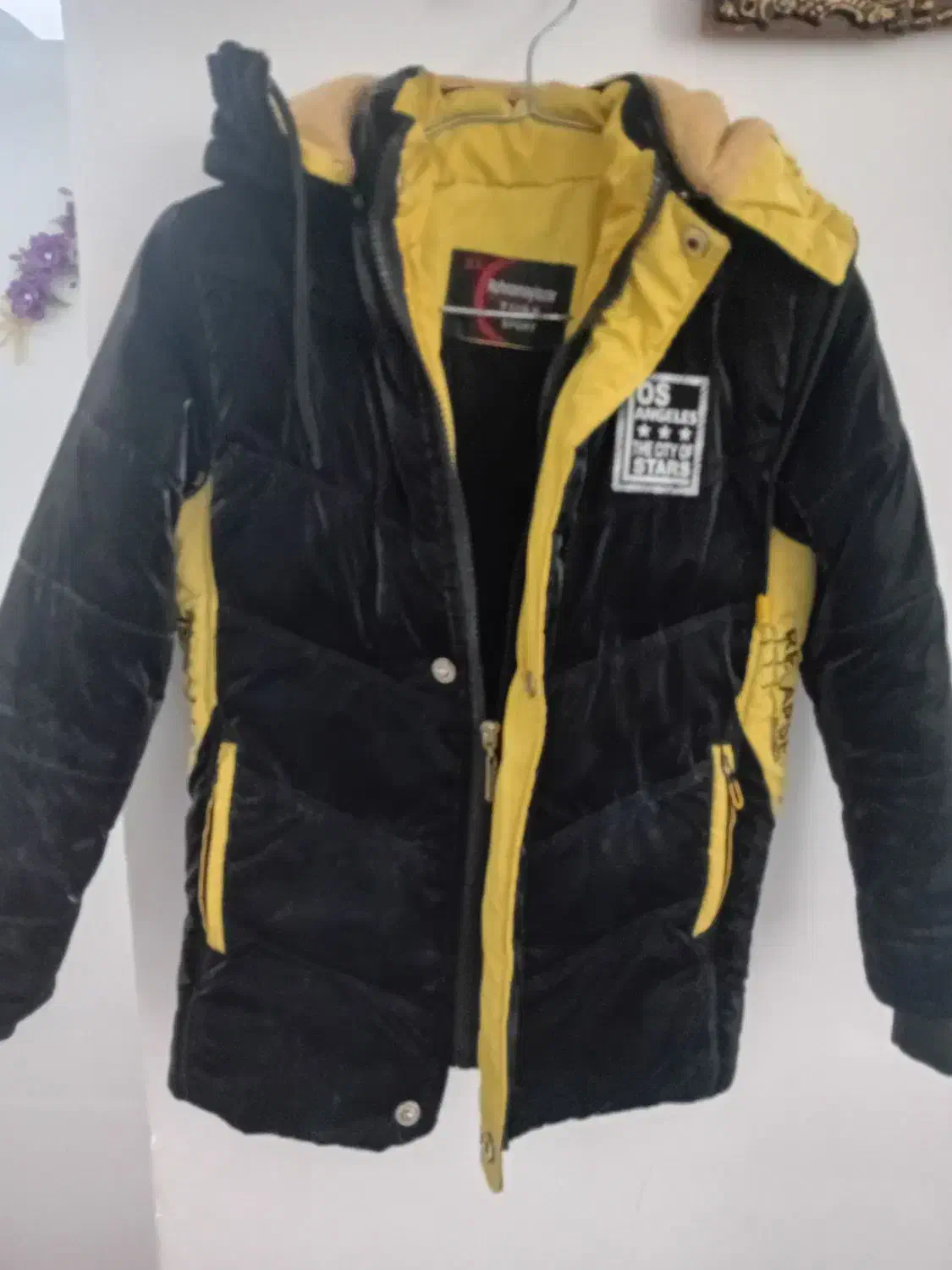 یک عدد کاپشن و یک عدد کفش|کفش و لباس بچه|املش, |دیوار