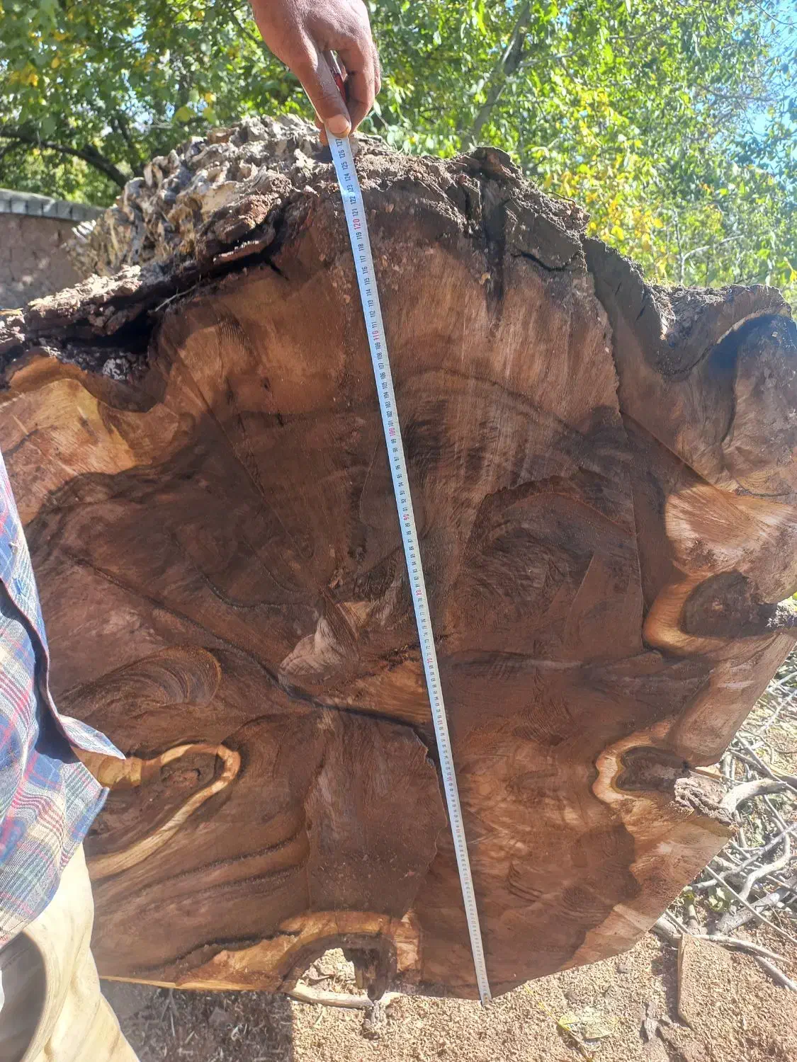 فروش چوب گردو قدیمی قهوه ای|عمده‌فروشی|مزایجان, |دیوار