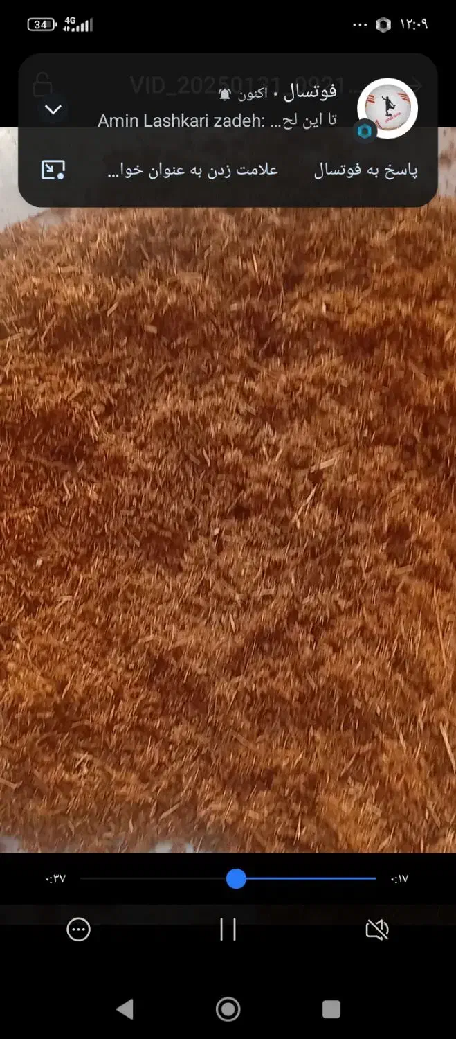 تولید خاک پالم پیت برای گلخانه و نئوپان وخوراک دام|گل و گیاه طبیعی|بم, |دیوار