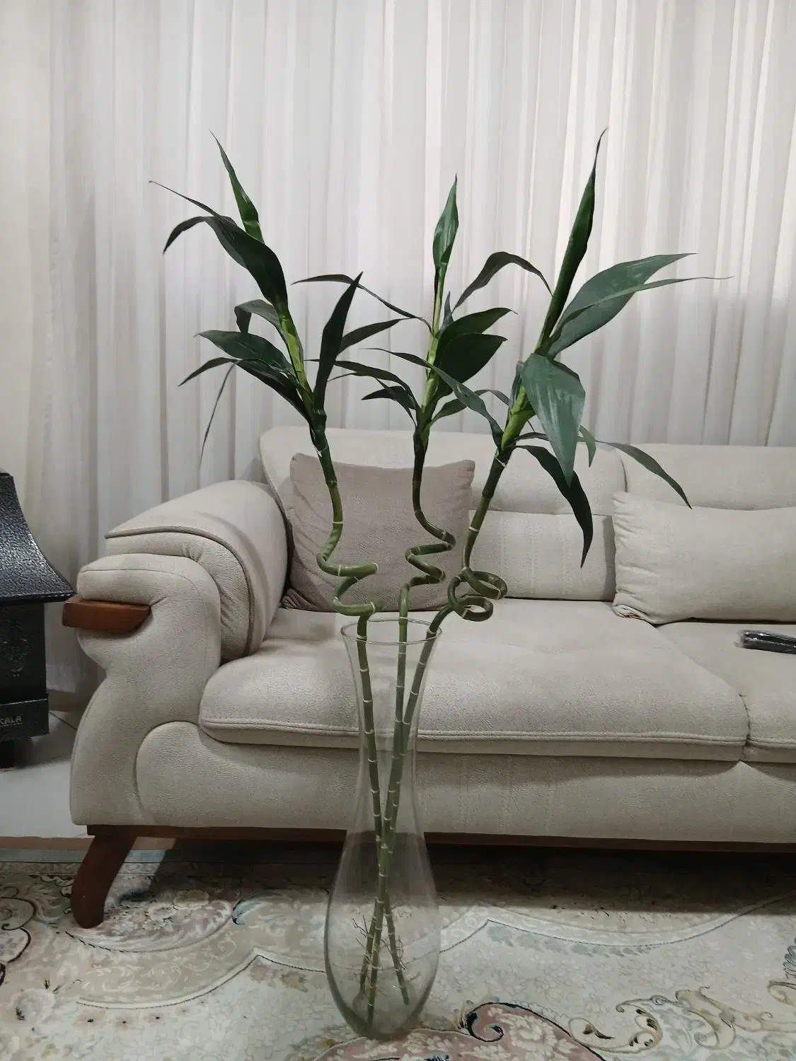 میز وصندلی تحریر ،گلدان وگل   بامبو،جاشمعی|میز تحریر و کامپیوتر|اسلام‌شهر, مطهری|دیوار