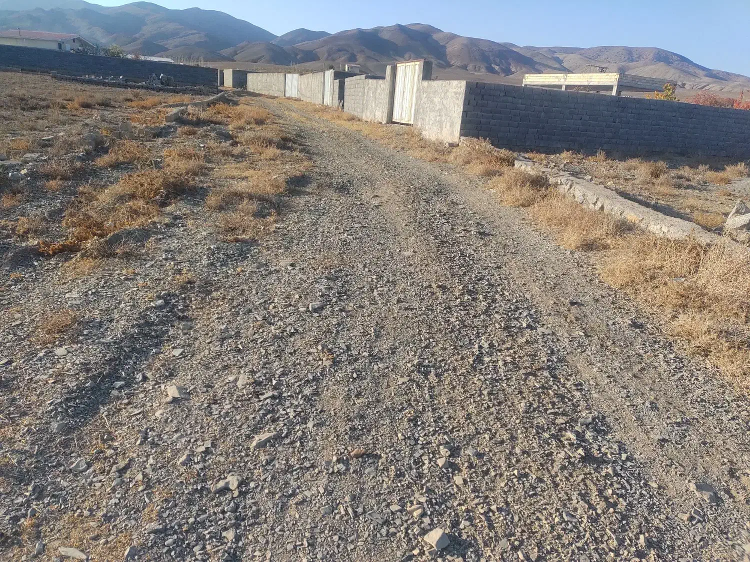 فروش زمین|فروش زمین و ملک کلنگی|شهمیرزاد, |دیوار