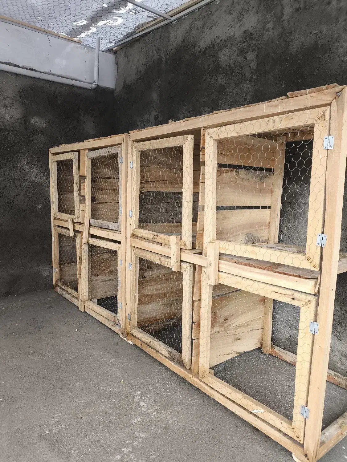 جفت کن کبوتر|لوازم جانبی حیوانات|نقده, |دیوار