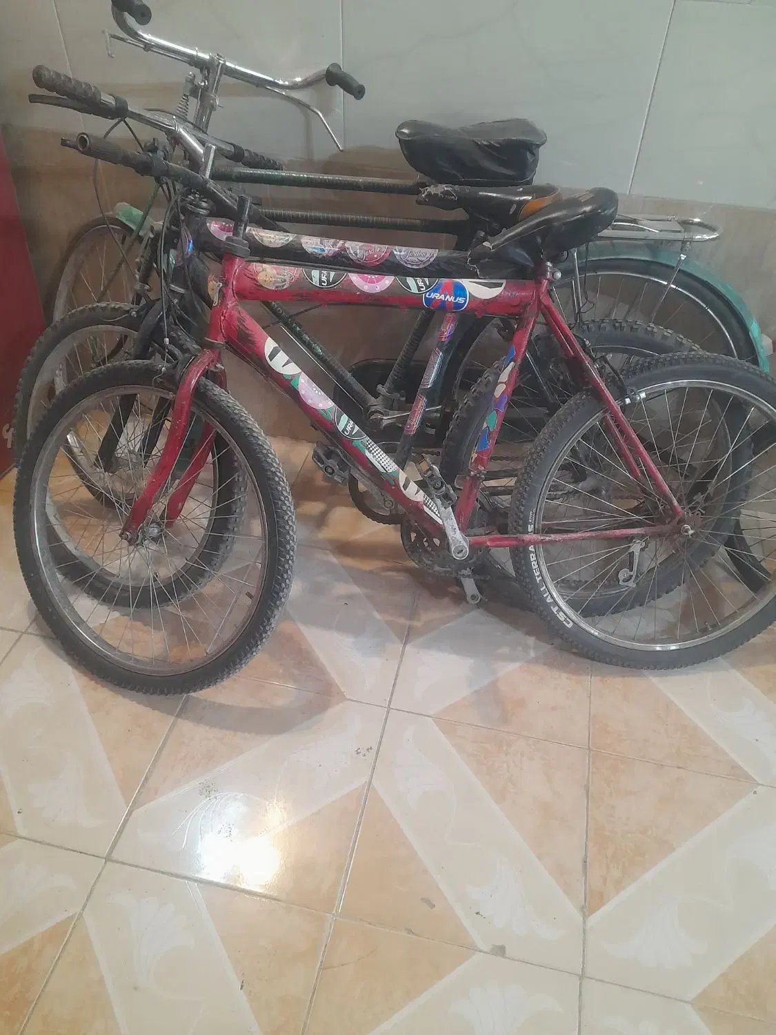 دوچرخه دست دوم|دوچرخه، اسکیت، اسکوتر|شهرضا, |دیوار