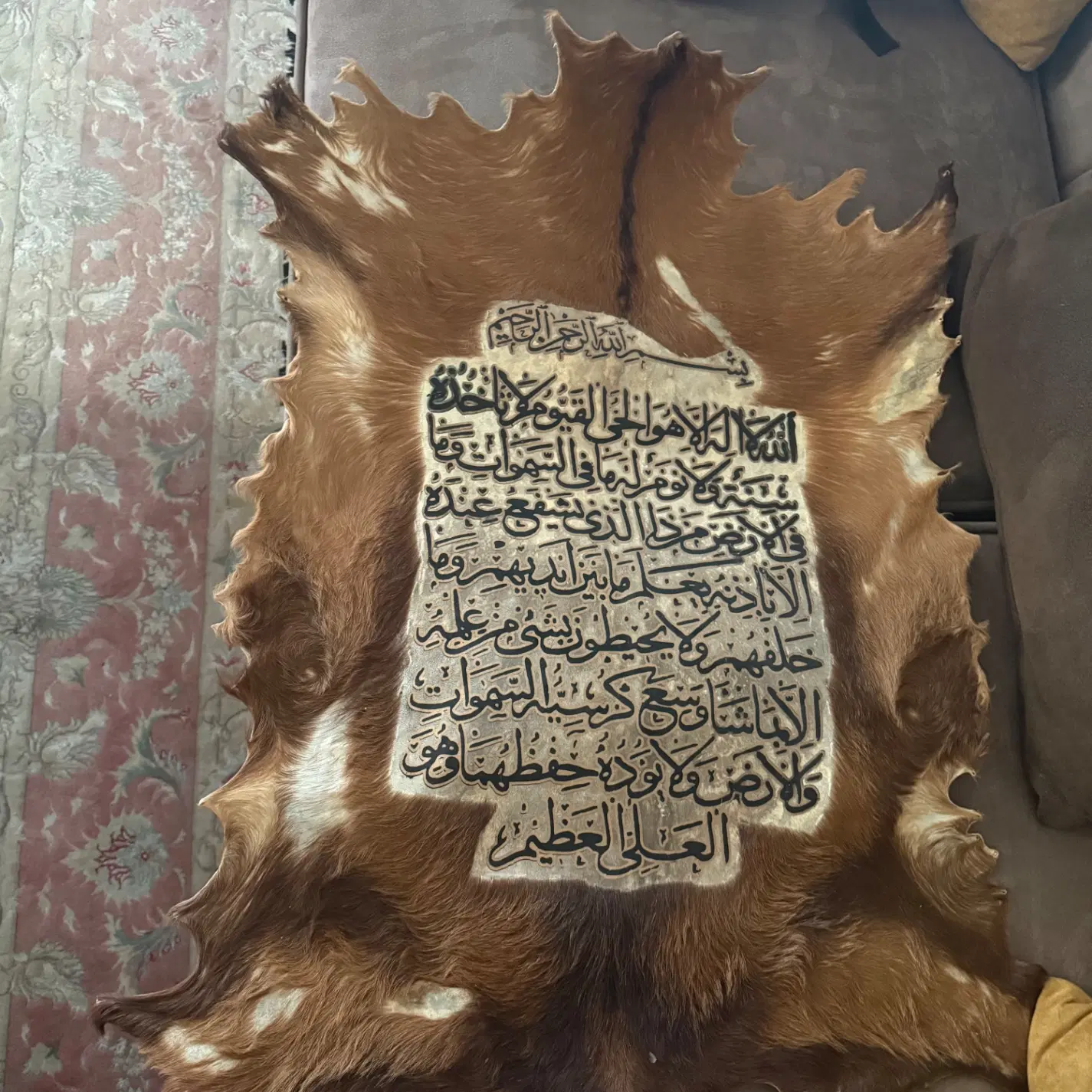 تابلو پوست بز ویکاد|تابلو، نقاشی، عکس|تهران, سیمای ایران|دیوار
