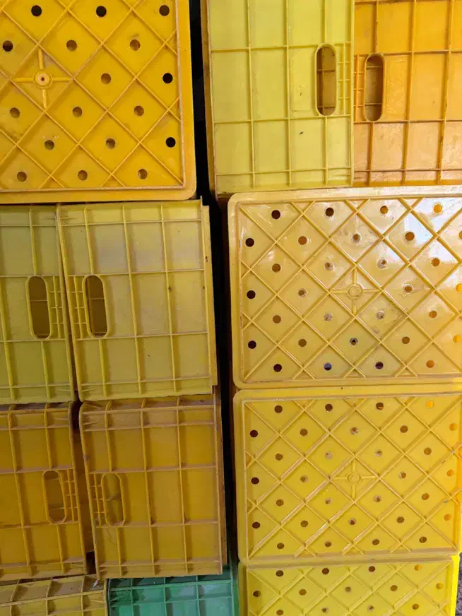 جعبه سبد لبنیاتی|ظروف نگهدارنده، پلاستیکی، یک‌بارمصرف|اردبیل, |دیوار