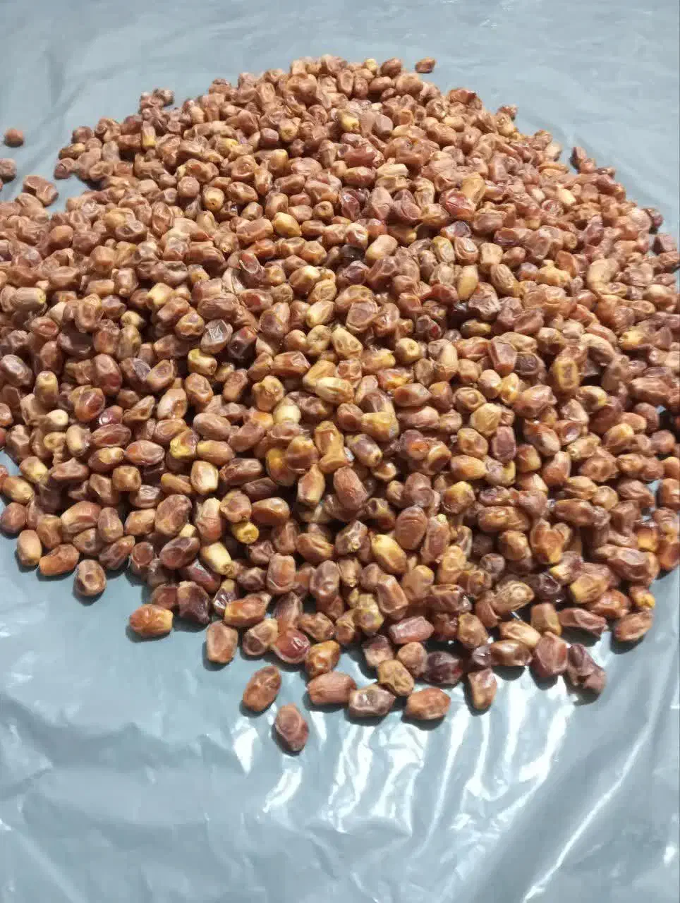 خرما زاهدی اِمسالی.تازه. تازه.|خوردنی و آشامیدنی|مشهد, رسالت|دیوار