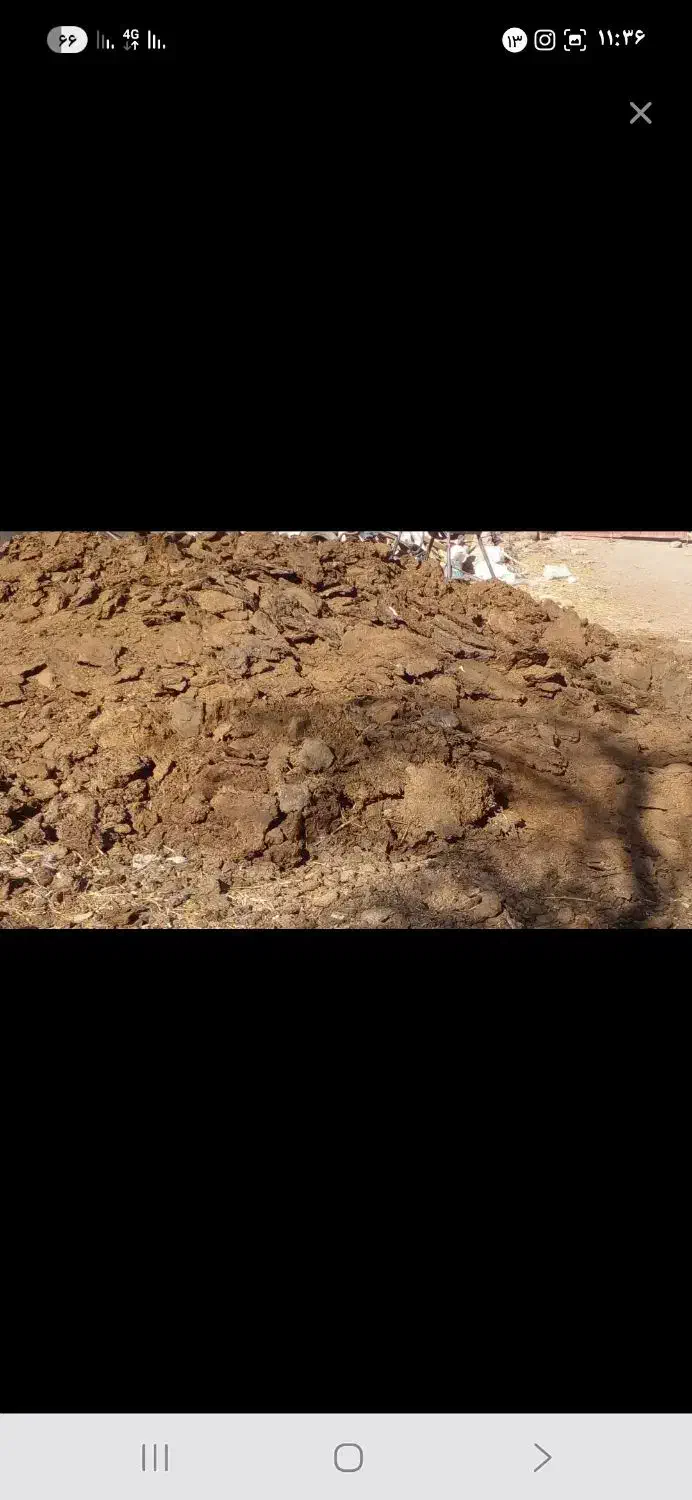 کشاورزی|حیوانات مزرعه|سلیمان, |دیوار