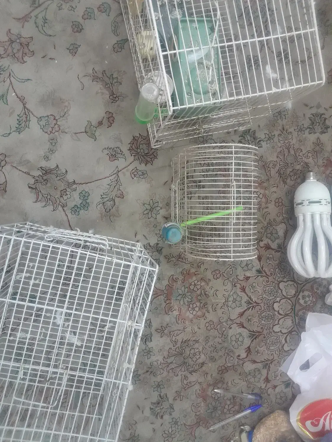 قفس پرنده|لوازم جانبی حیوانات|نمین, |دیوار