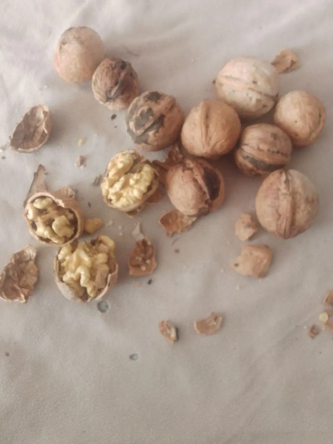 گردو|خوردنی و آشامیدنی|تویسرکان, |دیوار