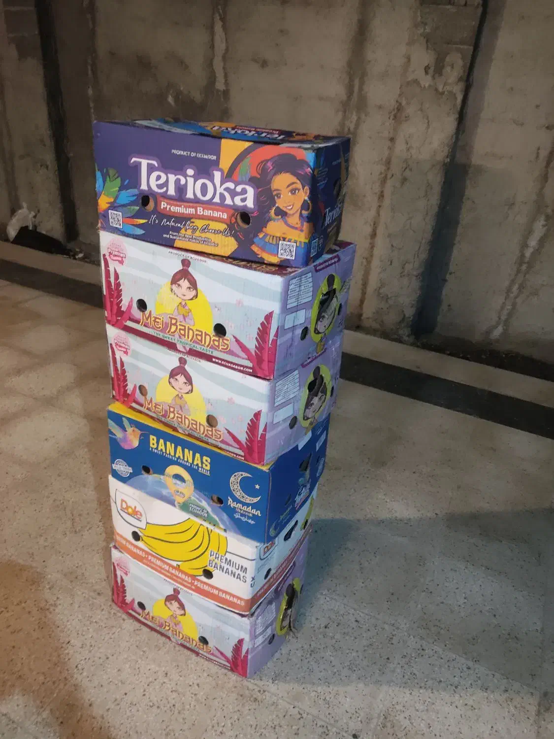 جعبه موز محکم و سالم|ظروف نگهدارنده، پلاستیکی، یک‌بارمصرف|رشت, فرزانه|دیوار