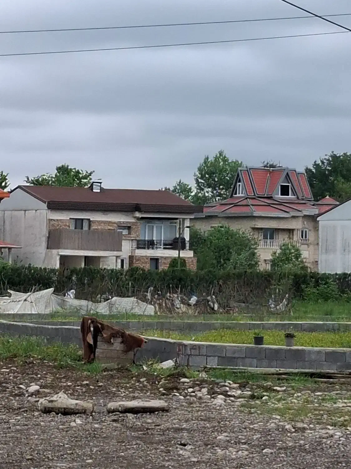 فروش زمین سند دار لاکان شهرکی|فروش زمین و ملک کلنگی|رشت, لاکان شهر|دیوار