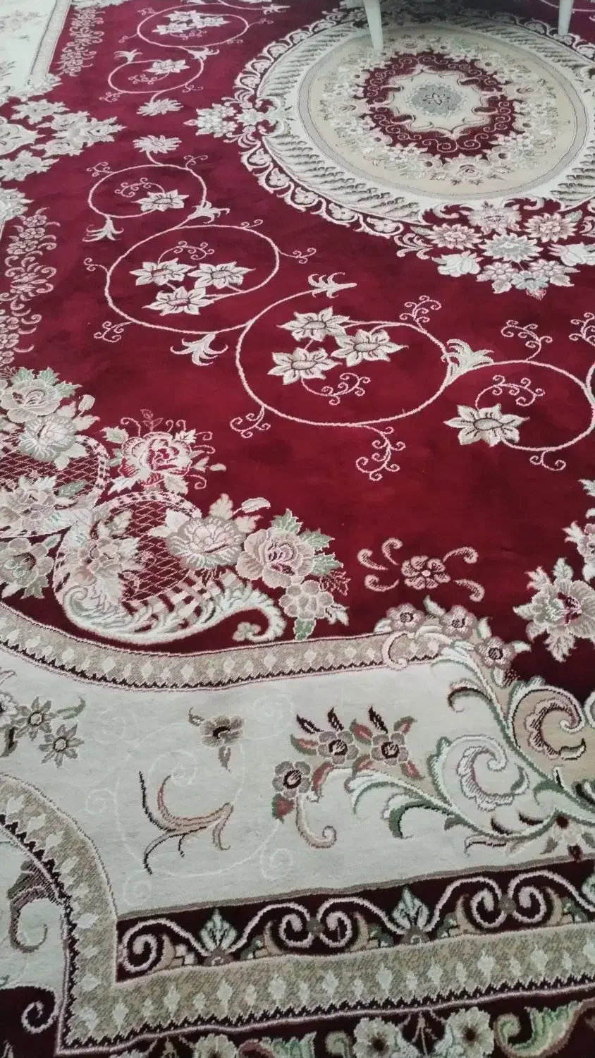 فرش500شانه|فرش|داراب, |دیوار